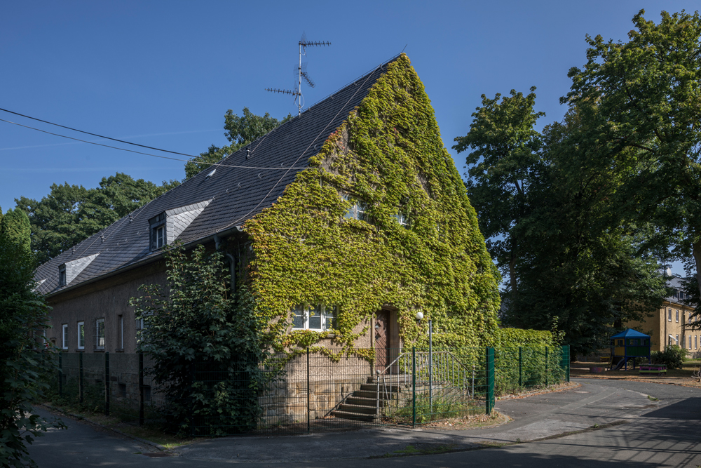 Ein mit Pflanzen bewachsenes Haus