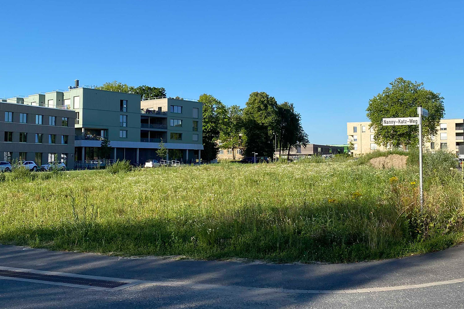 Baufeld A1 noch unbebaut und mit Gras bewachsen