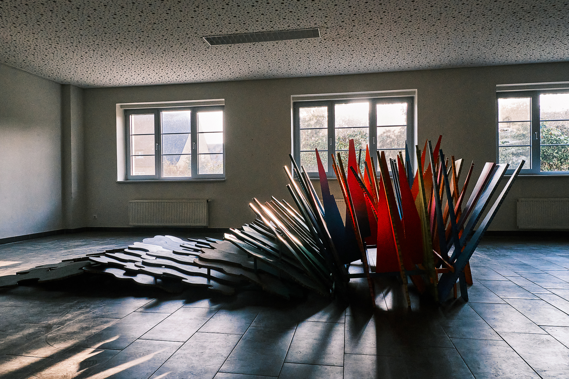 Farbspiel in der Sonne